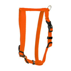 Barry King Szelki Classic pomarańczowe L-XL 25mm/75-100cm