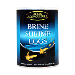 Terra Natura Ocean Aquaculture brine shrimp eggs jaja artemii do wylęgu waga netto 454g puszka