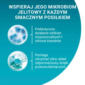 Purina ONE Indoor Mokra karma z cielęciną i tuńczykiem 4x85g