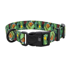 Barry King Obroża taśma dla psa Tropical 16mm/30-47cm