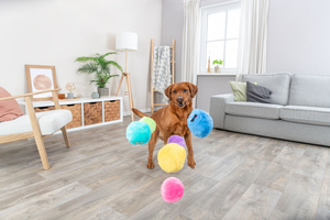 Trixie Piłeczki zabawka dla psa plusz 10cm z recyklingu 1 szt z dźwiękiem