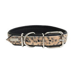 Barry King Obroża dla psa Cheetah 12mm/32cm