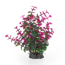 Aqua Natura Roślina do dekoracji akwarium zielono-fioletowa plastikowa 20cm peperomia