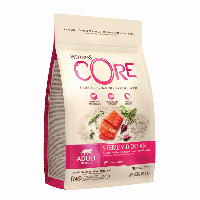 Wellness Core Sterilised Ocean k.sucha d.kota steryl. łosoś 300g