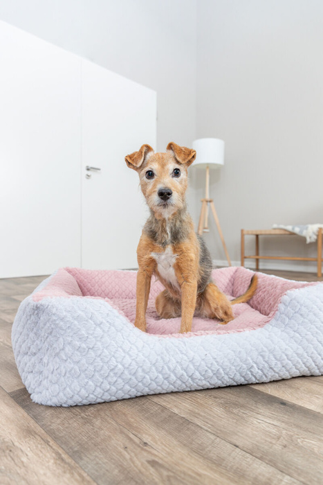 Trixie Kaline Mio Legowisko z Brzegiem Szaro-Różowe 80x65cm