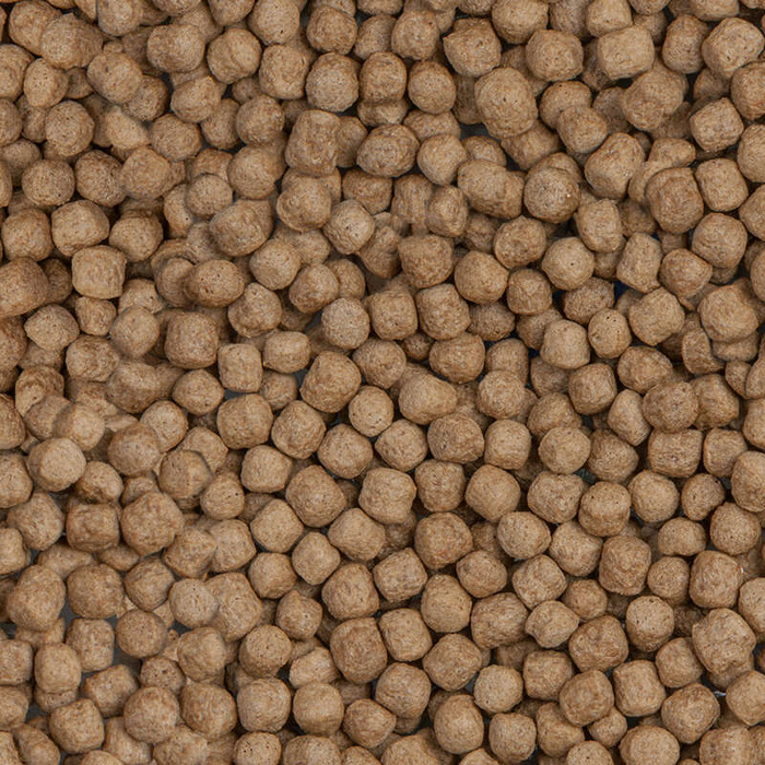 Sera Koi Royal Large 1.000 ml granulat pokarm postawowy dla Koi