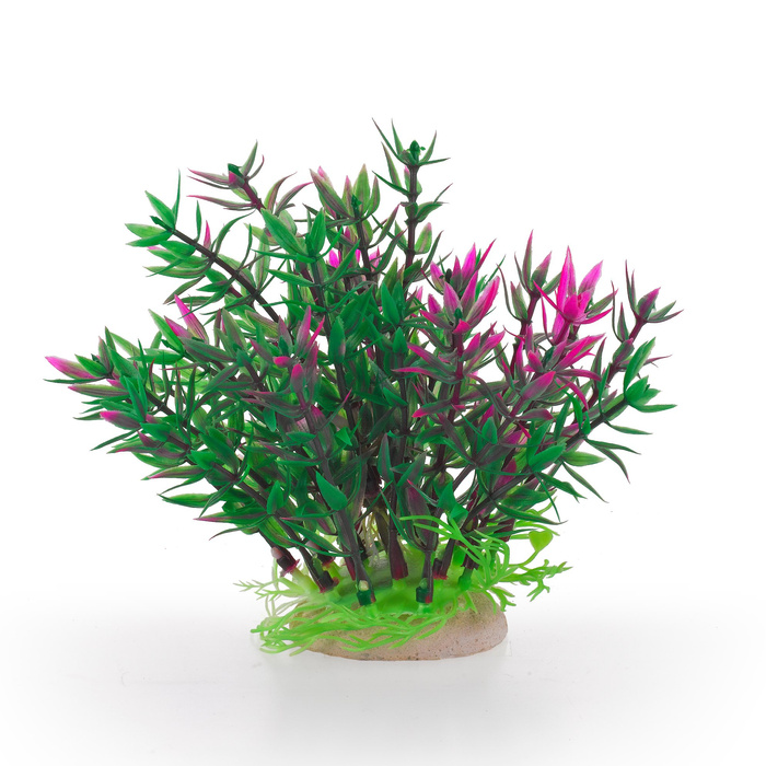 Aqua Natura Roślina do dekoracji akwarium zielona plastikowa 12cm z różowymi pędami