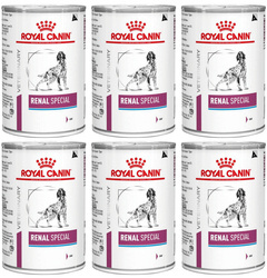 Royal Canin Veterinary Diet Renal Special 6x410g