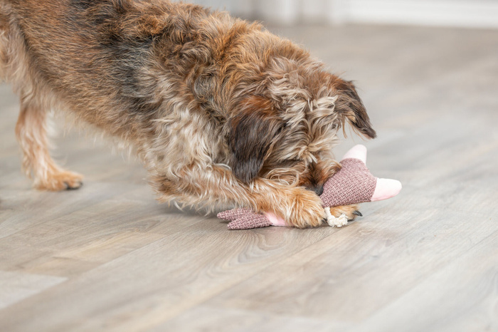 Trixie Królik Pluszowo-Sznurkowy dla Psa 24cm