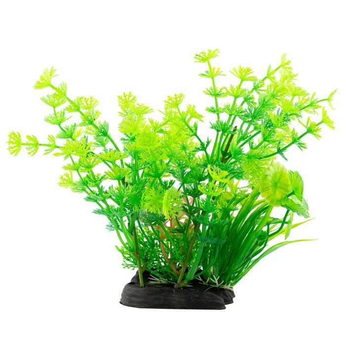 Aqua Natura roślina do dekoracji akwarium zielona plastikowa 20cm paprotka i spirulina