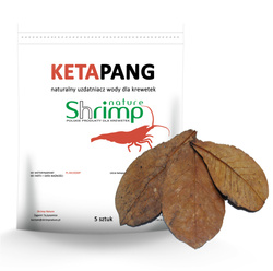 Shrimp Nature Liść ketapangu 5szt