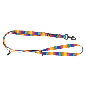 Barry King Smycz regulowana taśma dla psa Tęcza 25mm/220cm