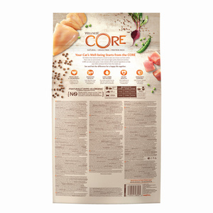 Wellness Core k.sucha d.kota indyk/kurcz. 4kg