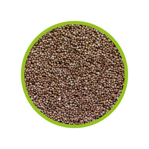 HOBBY Artemia Brine Shrimp Eggs 20ml