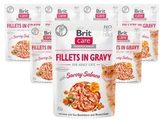 Brit Care Cat z łososiem 12x85g