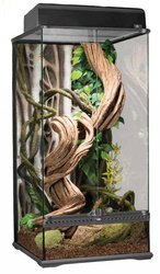 ExoTerra Paludarium szklane wysokie małe 45x45x90cm