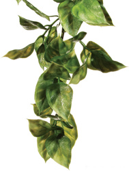 ExoTerra Roślina sztuczna – Amapallo S