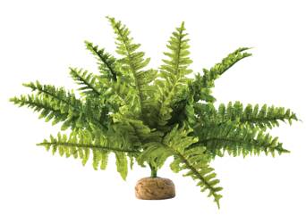 ExoTerra Roślina sztuczna – Paproć Boston Fern M