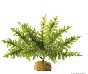 ExoTerra Roślina sztuczna – Paproć Boston Fern S