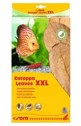 Sera Catappa Leaves liście migdałecznika XXL 32 cm 10szt./opak.