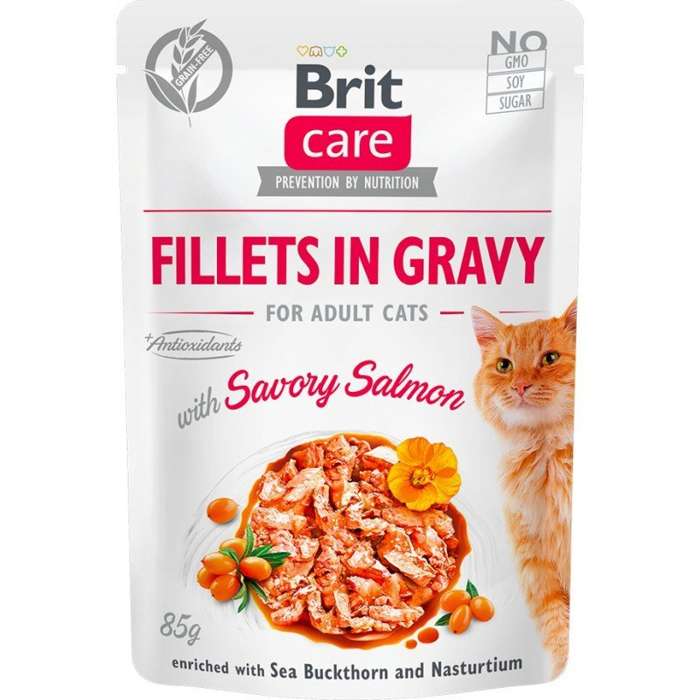 Brit Care Cat z łososiem 85g