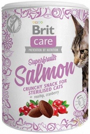 Brit Care Superfruits łosoś 100g