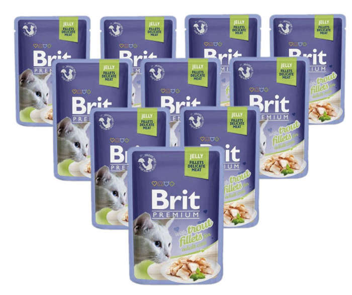 Brit Premium pstrąg w galaretce 24x85g 