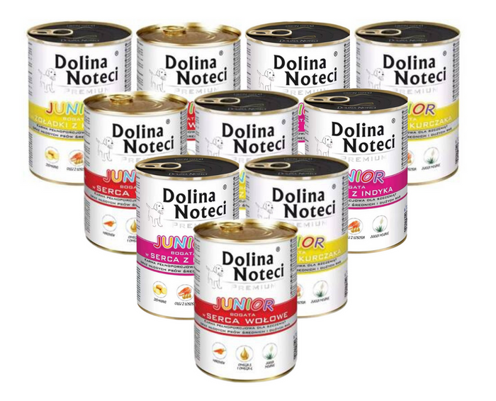 Dolina Noteci Premium Junior Mix Smaków 10x400g