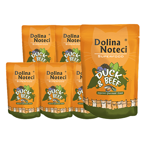 Dolina Noteci Superfood kaczka i wołowina 10x85g