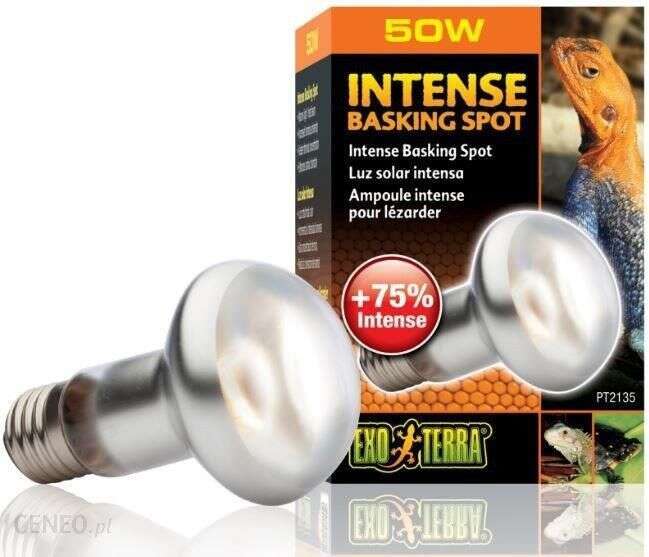 ExoTerra Żarówka Intense Basking Spot 50W 63mm