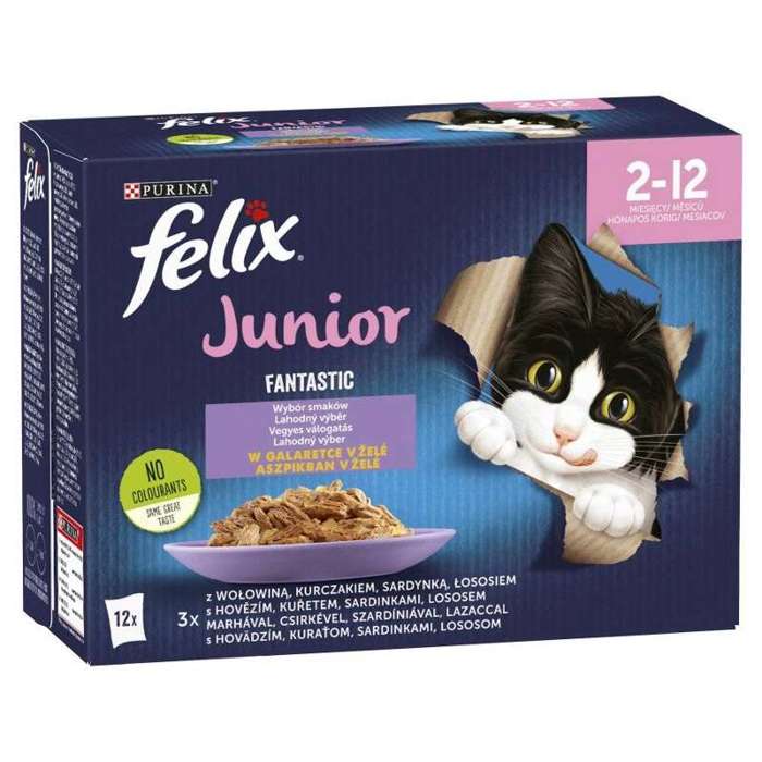 Felix Fantastic Junior Kurczak 48x85g