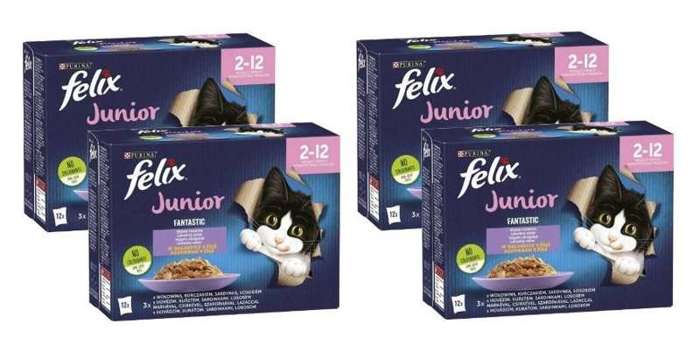 Felix Fantastic Junior Kurczak 48x85g