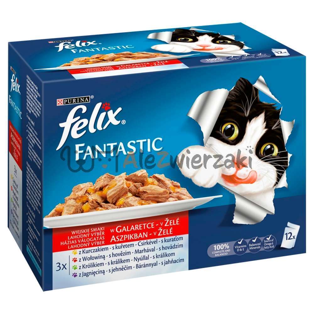 Felix Fantastic Wybór Mięs w galaretce 12x85g