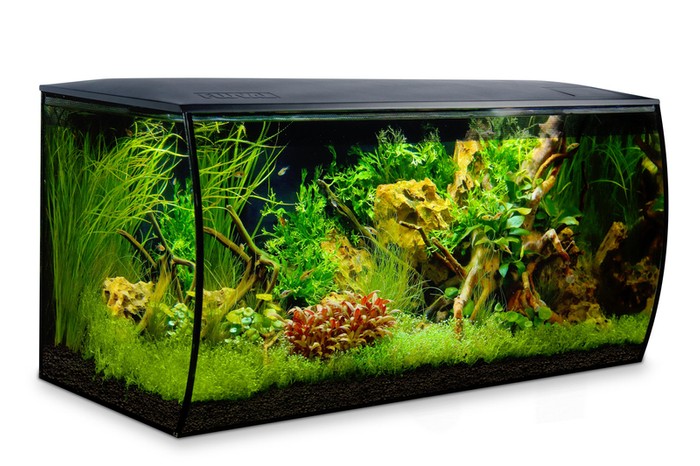 Fluval zestaw Flex 123L czarny