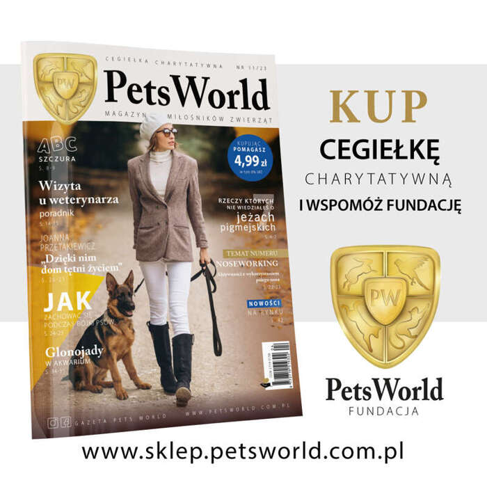 Gazeta Pets World nr 11