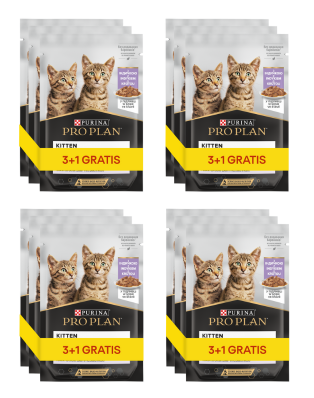 Purina ProPlan Junior 16x85g z indykiem