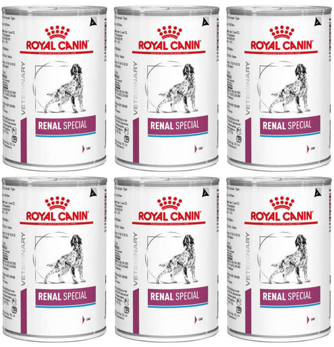 Royal Canin Veterinary Diet Renal Special 6x410g