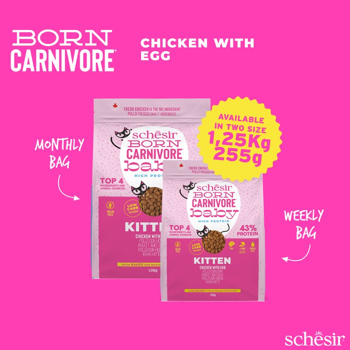 Schesir Born Carnivore Cat Dry Kitten Kurczak Z Jajkiem 255g