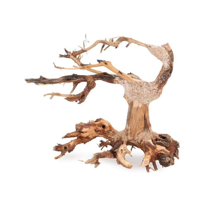 TerraNatura Tonące drzewo Bonsai nr 24 15x12