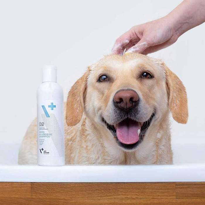 Vet Expert Hypoallergenic Shampoo hipoalergiczny dla psów i kotów 15ml