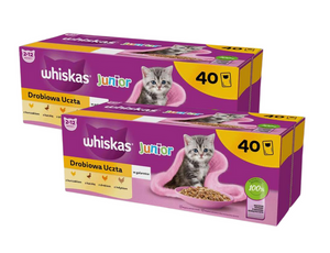  Whiskas Junior Drobiowa Uczta w galaretce dla kociąt 80x85g