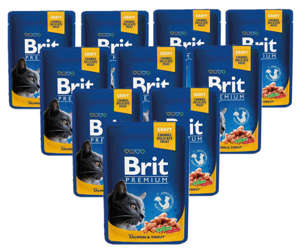 Brit Premium Adult łosoś z pstrągiem w sosie 100g