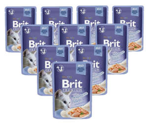 Brit Premium łosoś w galaretce 24x85g