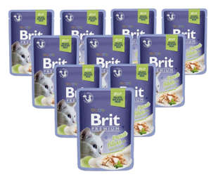 Brit Premium pstrąg w galaretce 24x85g 