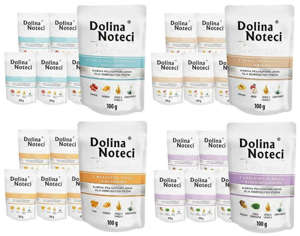 Dolina Noteci Premium Mix Smaków 40x100g