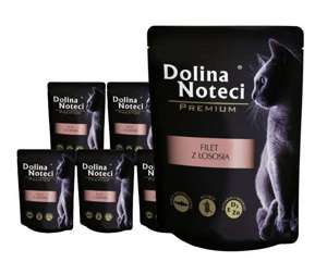 Dolina Noteci Premium filet z łososia 10x85g