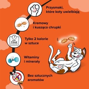 Dreamies z wyśmienitym kurczakiem 6x60g