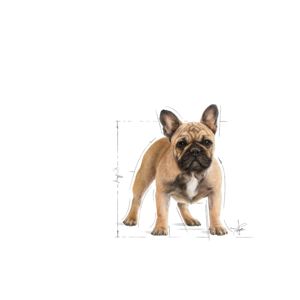 Royal Canin French Bulldog Adult 3kg