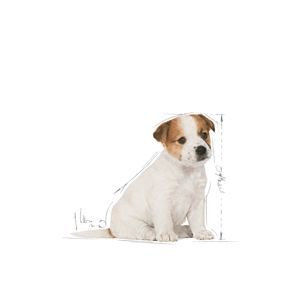 Royal Canin Jack Russell Terrier Puppy 3kg