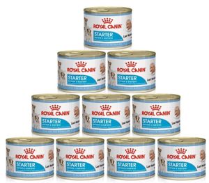 Royal Canin Starter Mother & Babydog 10x195g